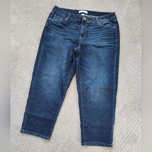 Lane Bryant || Girlfriend Mid-Rise